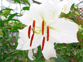 photo04