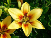 photo09