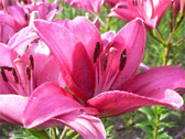 photo14